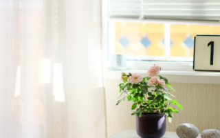 Что лучше – REHAU или Kaleva?