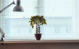 Виды подоконников – какой выбрать?