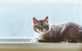 Как отрегулировать окна REHAU