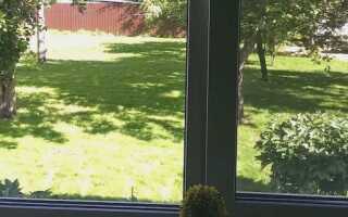 Окна на север, 1ый этаж: выбираем остекление для темных комнат