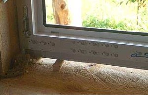 выравниваем окно