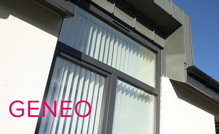 geneo