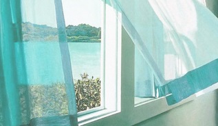 Пластиковое окно дует