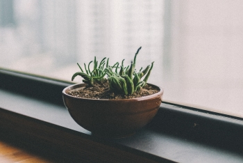 Подоконник