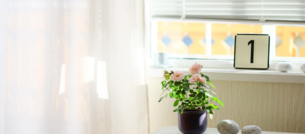 Пластиковое окно